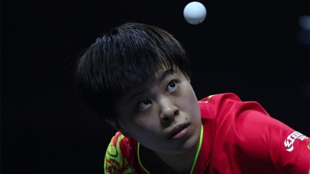 社会反击的 社会反击的